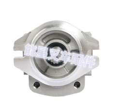 Komatsu Forklift Parts 37B-1KB-3040 Hydraulic Pump FOR C14